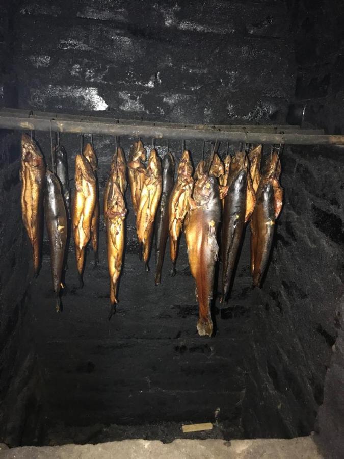 Kwatery U Marka Gowidlino Esterno foto